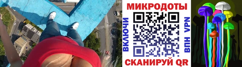 MEGA Волжский Галлюциногенные грибы прущие грибы