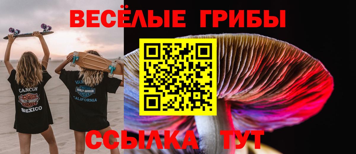 Волжский  Псилоцибиновые грибы мицелий  Вход с VPN 